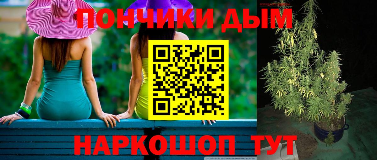 Конопля сатива Магнитогорск